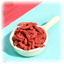 Free Sample Red Goji Vitamins